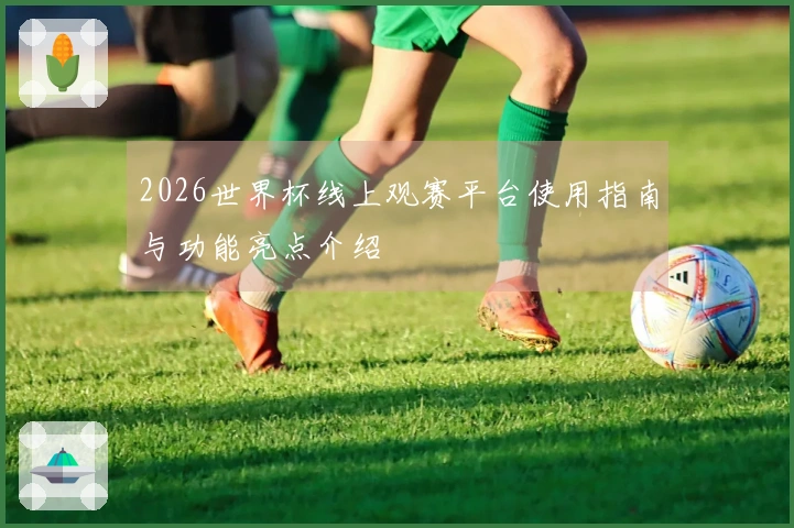 2026世界杯线上观赛平台使用指南与功能亮点介绍