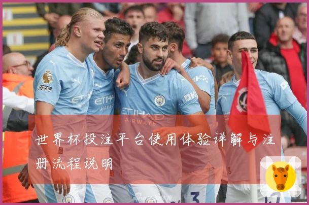 世界杯投注平台使用体验详解与注册流程说明