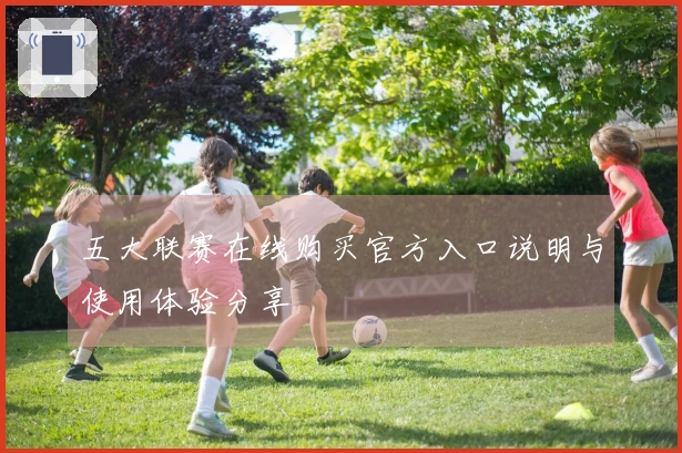 五大联赛在线购买官方入口说明与使用体验分享