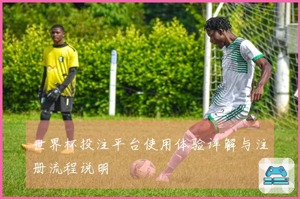 世界杯投注平台使用体验详解与注册流程说明