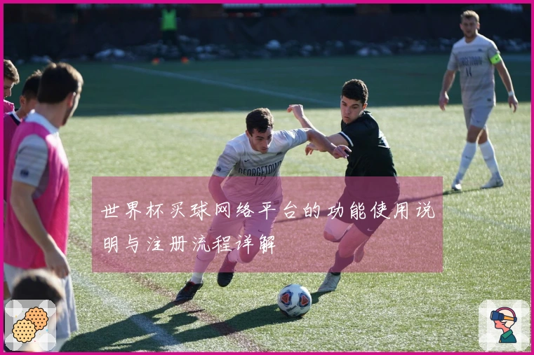 世界杯买球网络平台的功能使用说明与注册流程详解