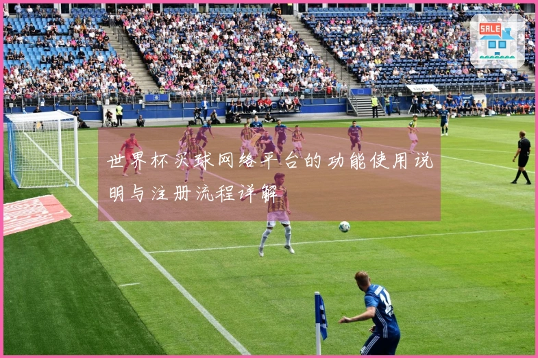 世界杯买球网络平台的功能使用说明与注册流程详解