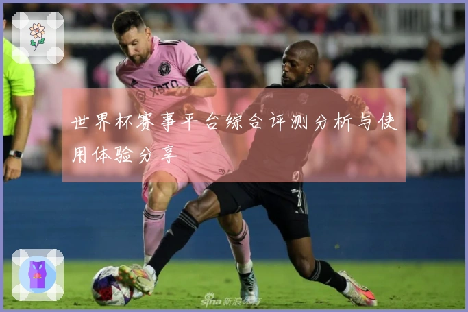 世界杯赛事平台综合评测分析与使用体验分享