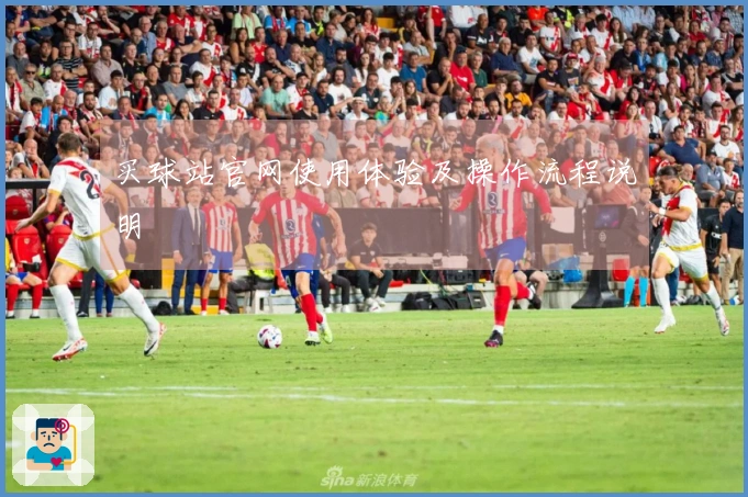 买球站官网使用体验及操作流程说明