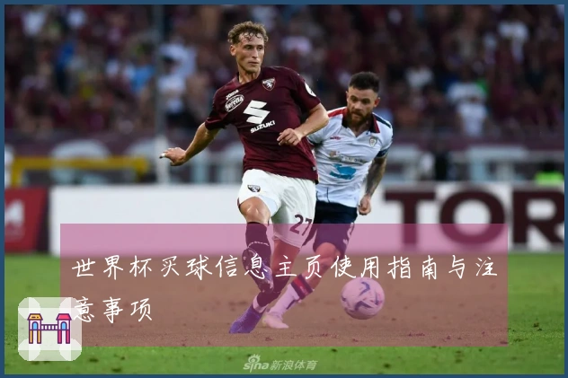 世界杯买球信息主页使用指南与注意事项