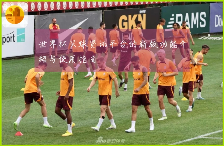 世界杯买球资讯平台的新版功能介绍与使用指南